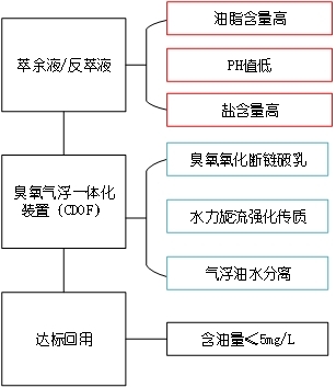 科力迩