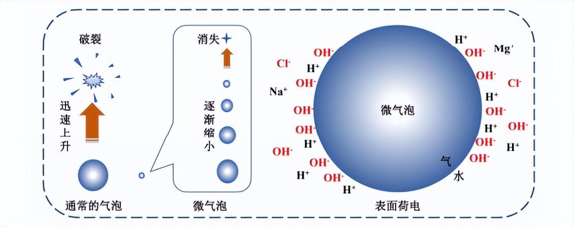 科力迩 科力迩