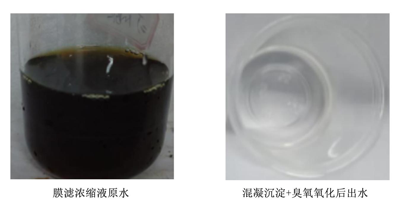 科力迩 科力迩
