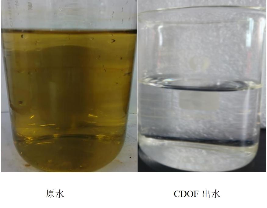 科力迩 科力迩