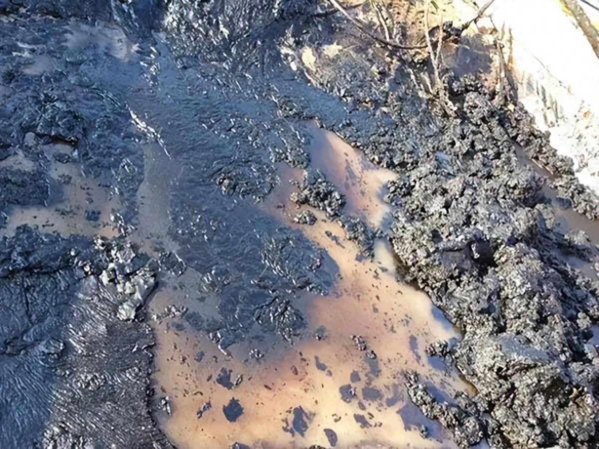 科力迩 科力迩