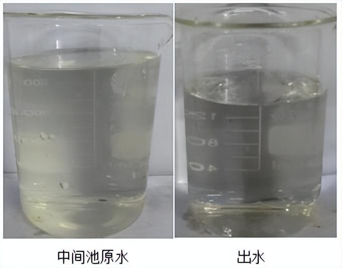 科力迩 科力迩